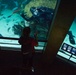 Navy Divers Dive in Baltimore’s National Aquarium