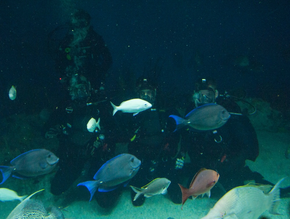 Navy Divers Dive in Baltimore’s National Aquarium