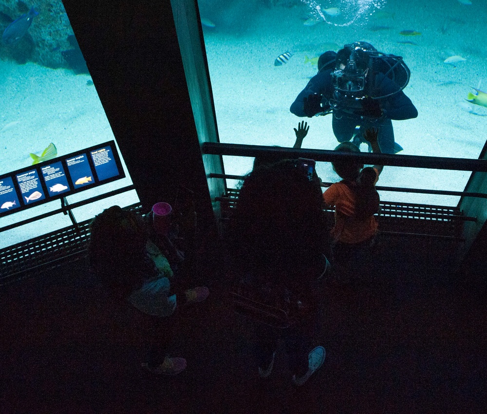 Navy Divers Dive in Baltimore’s National Aquarium