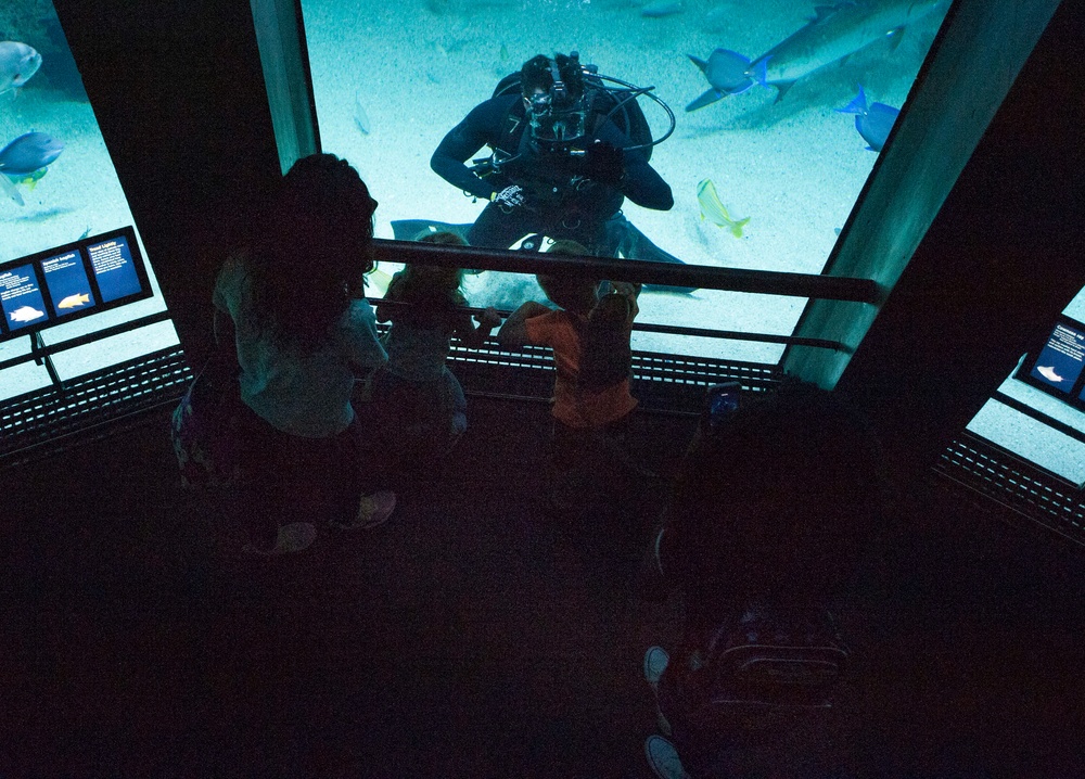 Navy Divers Dive in Baltimore’s National Aquarium