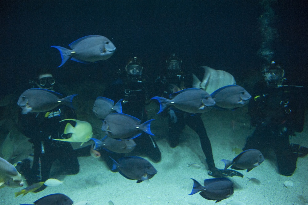 Navy Divers Dive in Baltimore’s National Aquarium