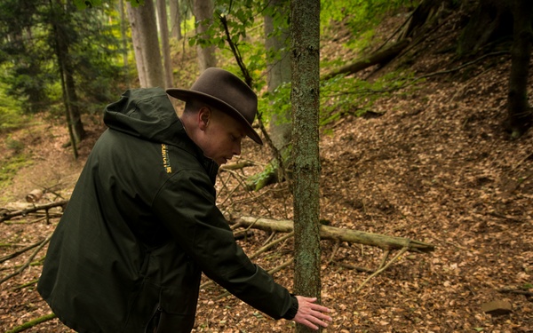 Stay vigilant for African Swine Fever