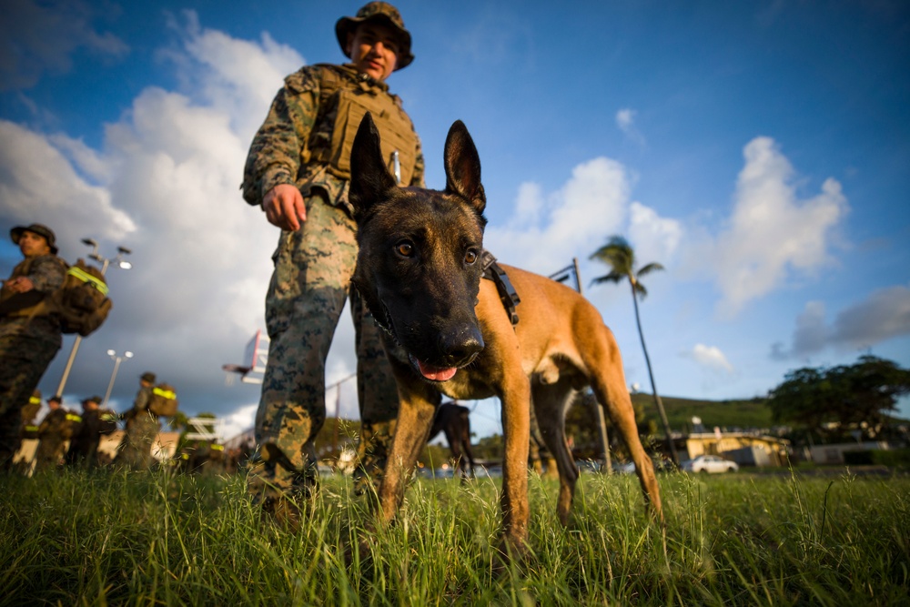 Headquarters Battalion, MCB Hawaii Hike