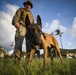 Headquarters Battalion, MCB Hawaii Hike