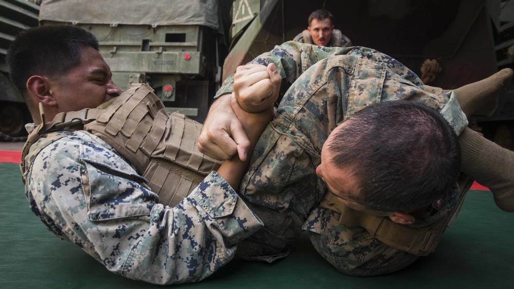 Marines in MAI Course participate in a round robin grapple match