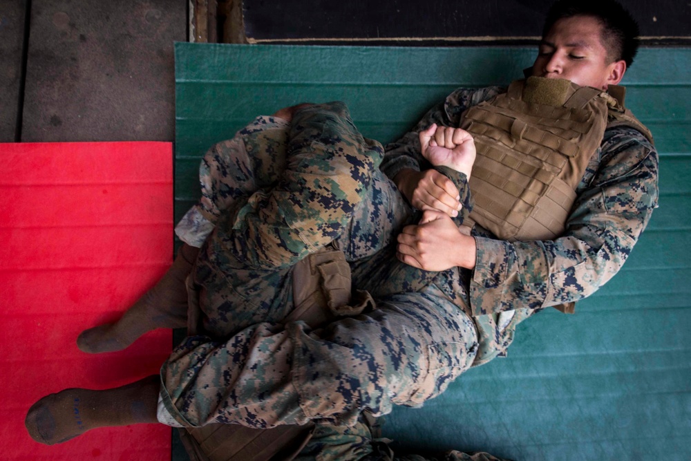 Marines in MAI Course participate in a round robin grapple match