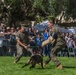 Fleet Week SF 18: K-9 Heroes Bark in the Park