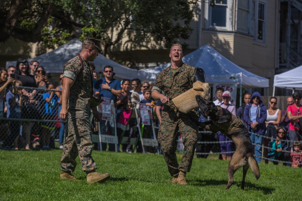 Fleet Week SF 18: K-9 Heroes Bark in the Park