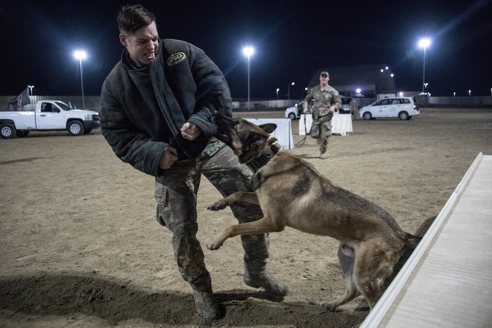 ADAB military working dogs demonstration