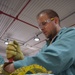 Crane Army Disassembles Red Phosphorus Rounds
