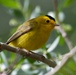 Travis AFB Flora and Fauna
