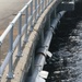 MOTSU wharf repair