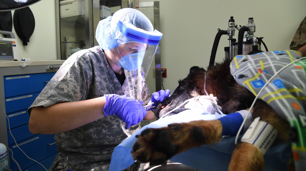 Dental visit
