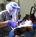 Dental visit