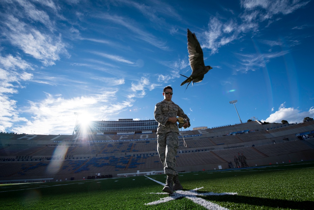 Falconry Team Practice