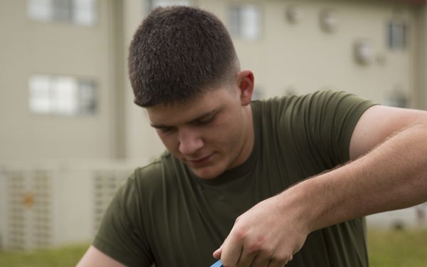 SAF Protection Training