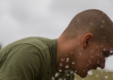 SAF Protection Training