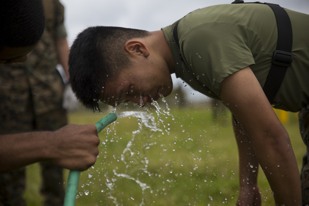 SAF Protection Training