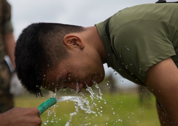 SAF Protection Training