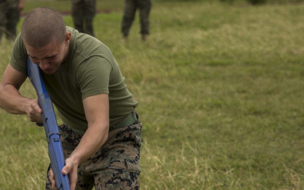 SAF Protection Training