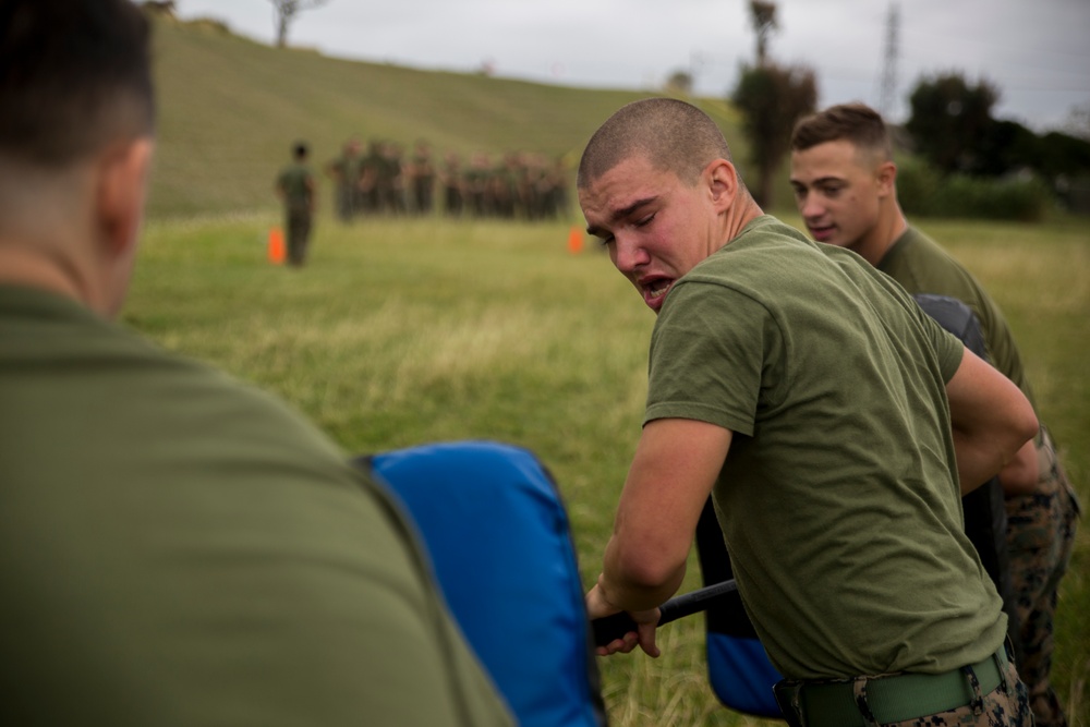 SAF Protection Training