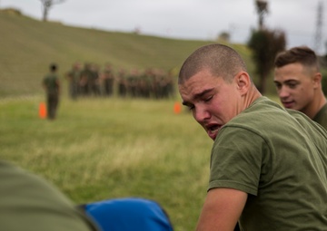 SAF Protection Training