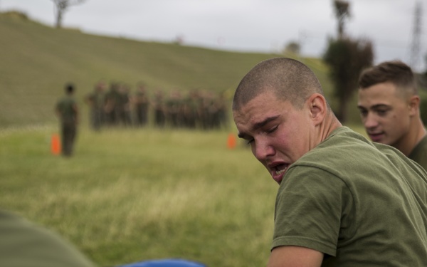 SAF Protection Training