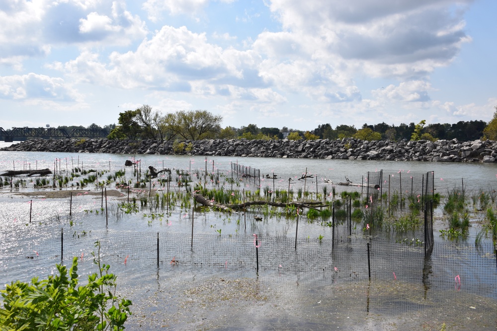 Unity Island Beneficial Use Ecological Restoration Update - September 28, 2018