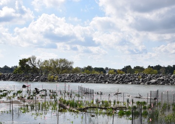 Unity Island Beneficial Use Ecological Restoration Update - September 28, 2018
