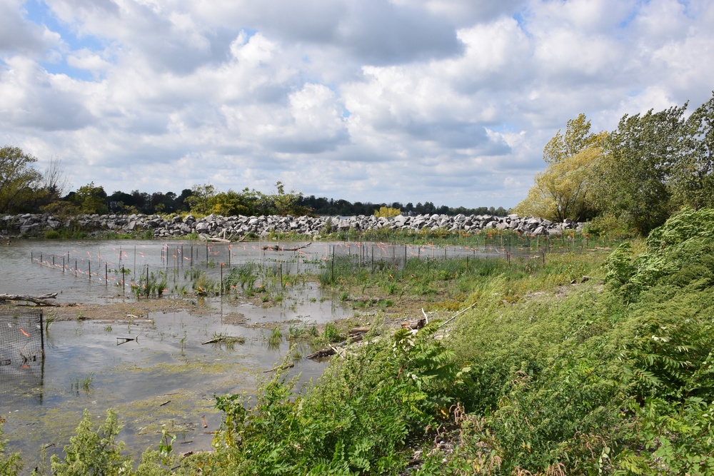 Unity Island Beneficial Use Ecological Restoration Update - September 28, 2018
