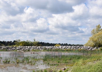 Unity Island Beneficial Use Ecological Restoration Update - September 28, 2018