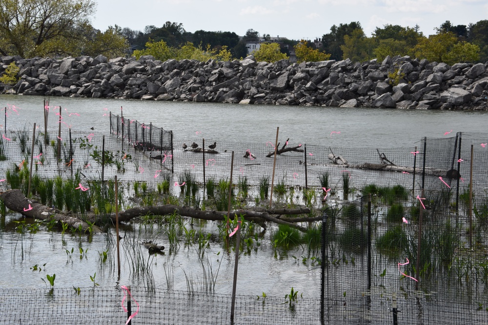 Unity Island Beneficial Use Ecological Restoration Update - September 28, 2018