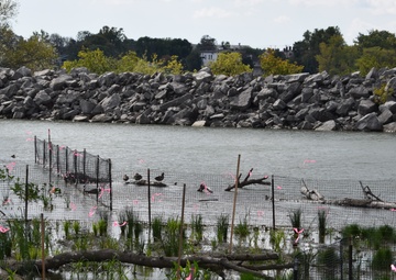 Unity Island Beneficial Use Ecological Restoration Update - September 28, 2018