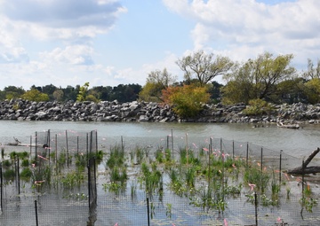 Unity Island Beneficial Use Ecological Restoration Update - September 28, 2018