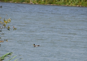 Unity Island Beneficial Use Ecological Restoration Update - September 28, 2018