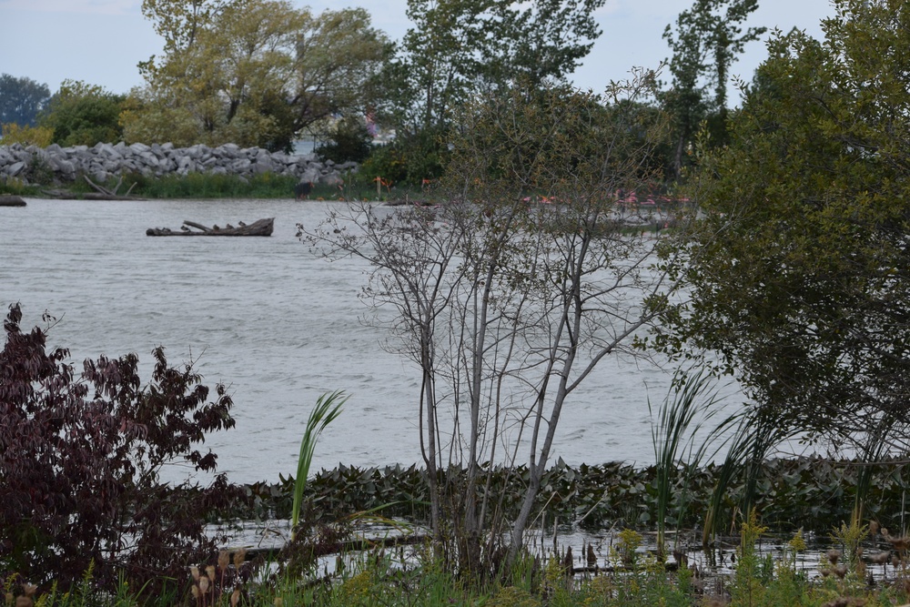 Unity Island Beneficial Use Ecological Restoration Update - September 28, 2018