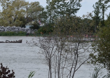 Unity Island Beneficial Use Ecological Restoration Update - September 28, 2018