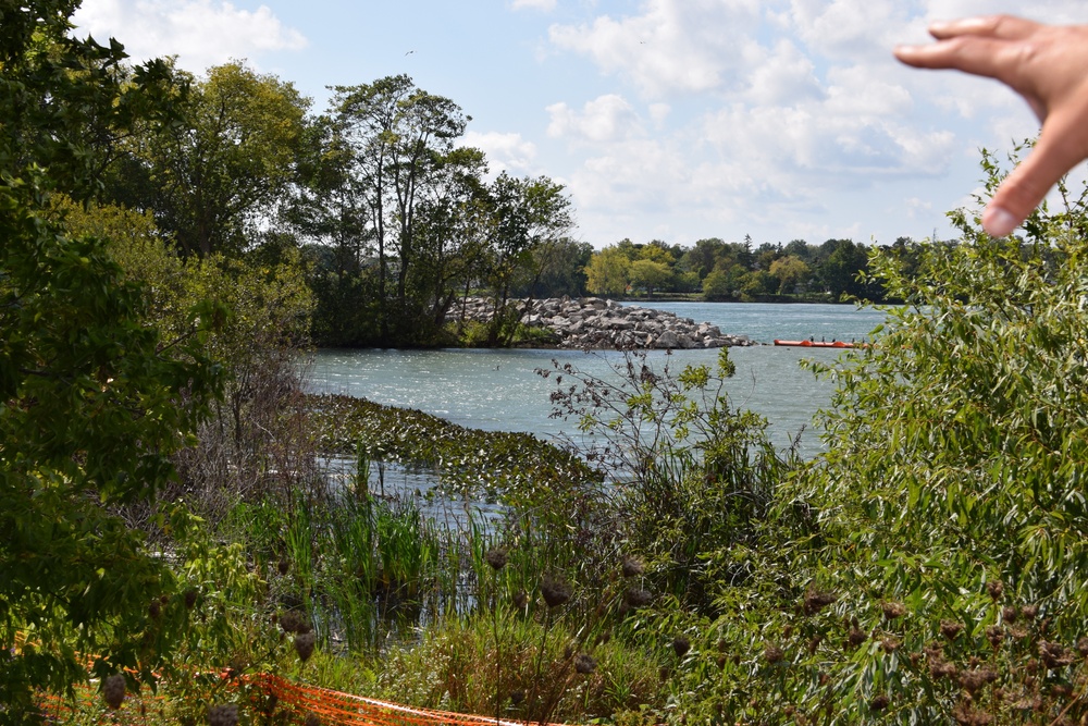 Unity Island Beneficial Use Ecological Restoration Update - September 28, 2018