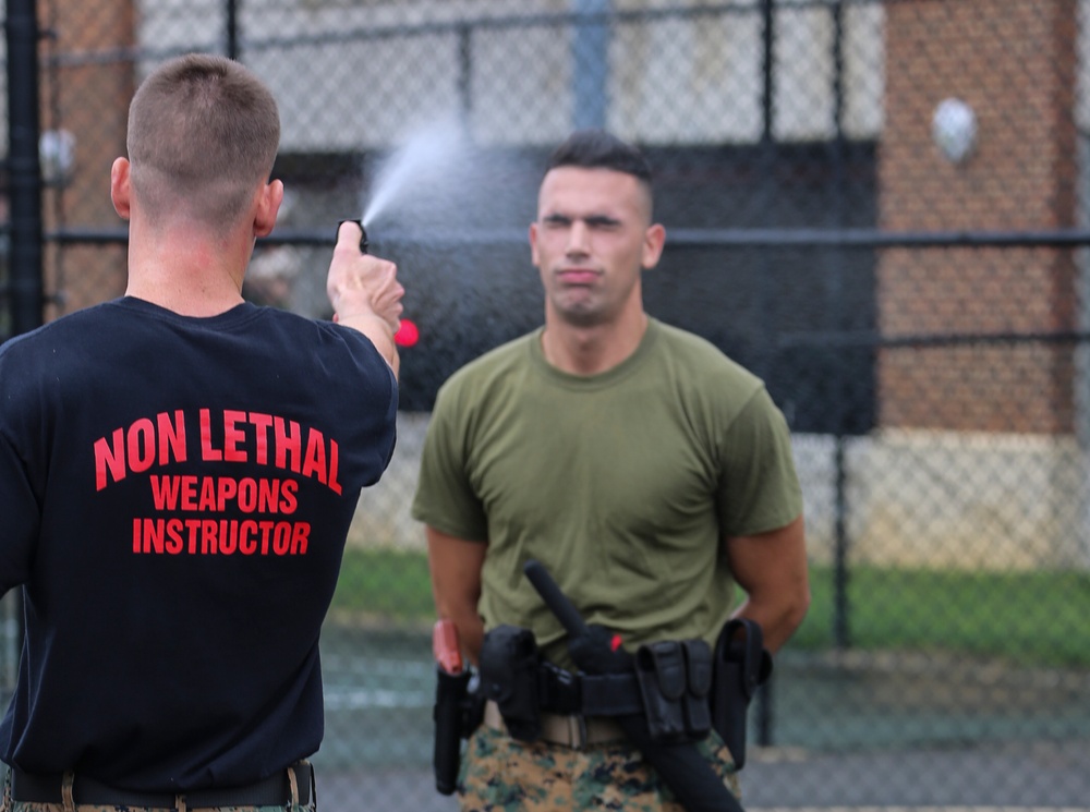 Guard Company Conducts OC Spray Evaluation Course