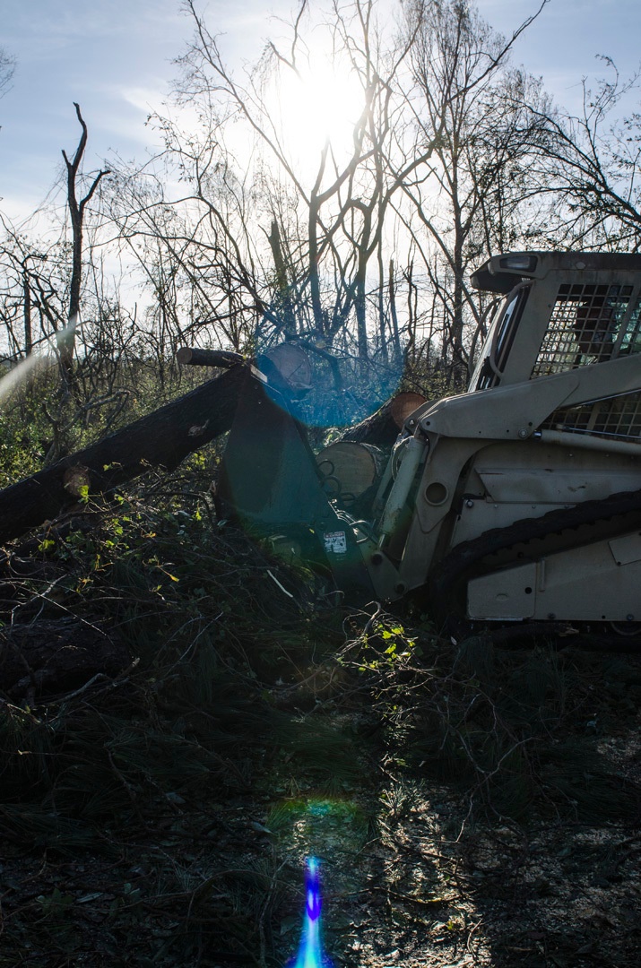 Florida National Guard 's CERF-P recon team survey damage in Mexico Beach