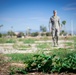 Luke AFB community garden open for growing