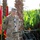Joint Training Center expansion provides U.S. military with new facility while training with Jordan Armed Forces