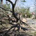 202 RHS clears damage from Hurricane Michael