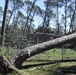 NAVFAC Southeast CERT assesses damage to NSA Panama City