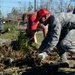Air Guardsmen Clean Streets of Trees and Branches
