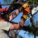Air Guardsmen Clean Streets of Trees and Branches