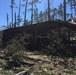 Conditions at Jim Woodruff Lock and Dam following Hurricane Michael