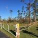 Conditions at Jim Woodruff Lock and Dam following Hurricane Michael