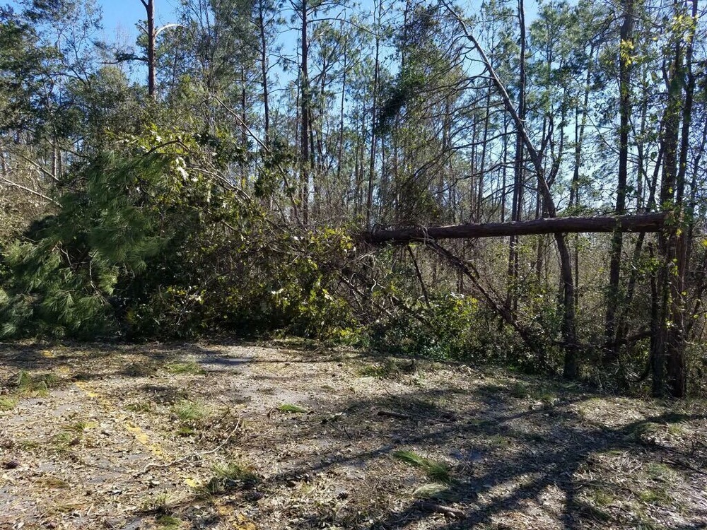 Conditions at Jim Woodruff Lock and Dam following Hurricane Michael