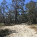 Conditions at Jim Woodruff Lock and Dam following Hurricane Michael